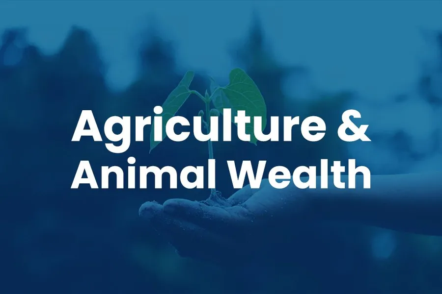 Agriculture & Animal Wealth
